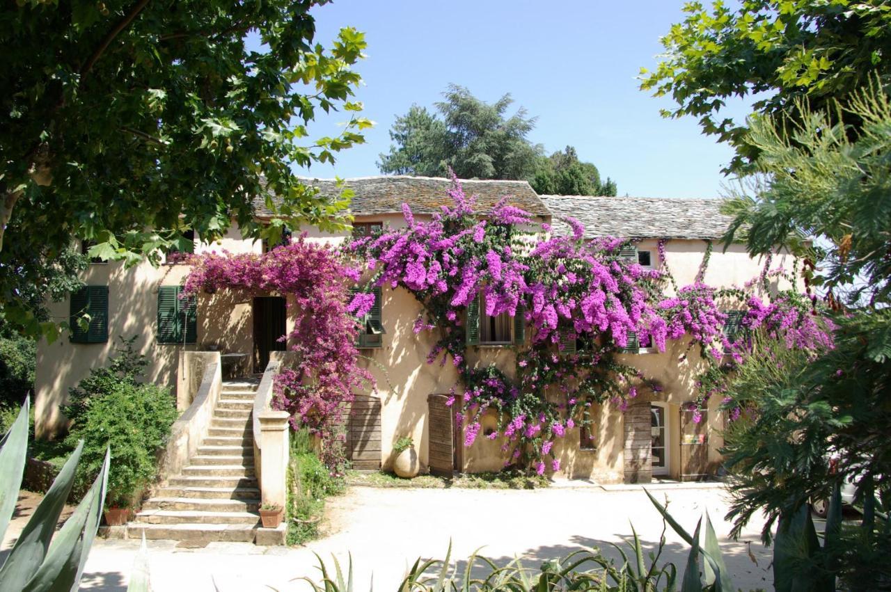 Domaine De Valle * Sorbo-Ocagnano
